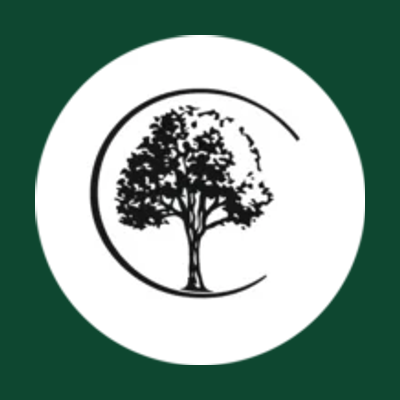 Vision Tree Service logo