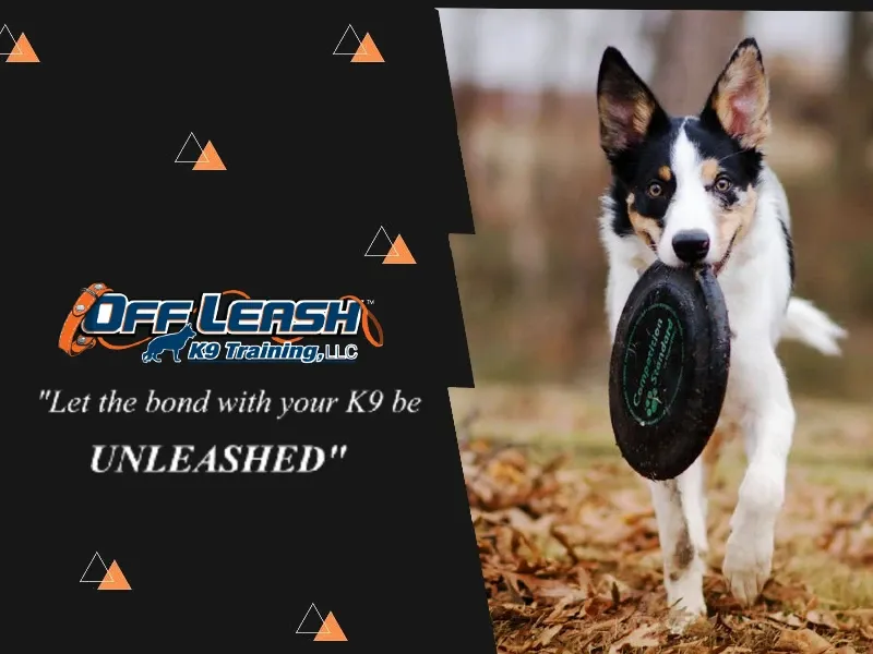 Off Leash K9 Training of Oklahoma