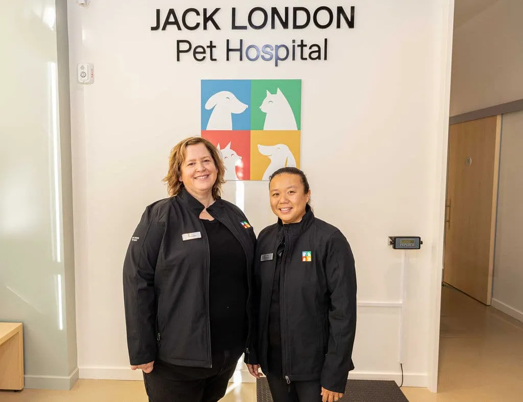 Jack London Pet Hospital
