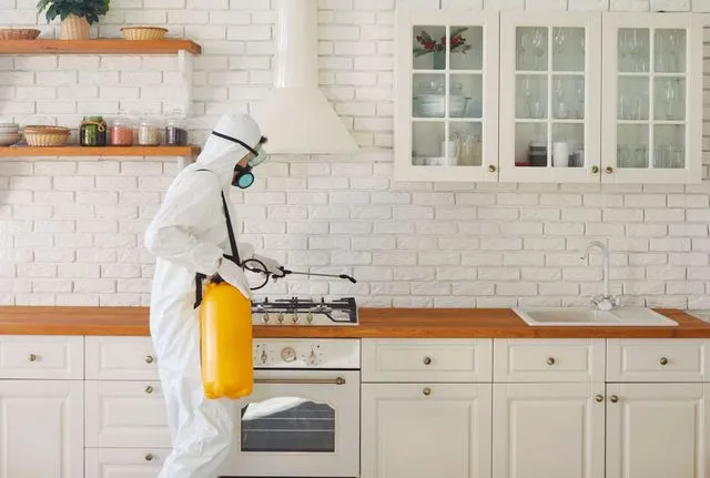 Pest Control Services