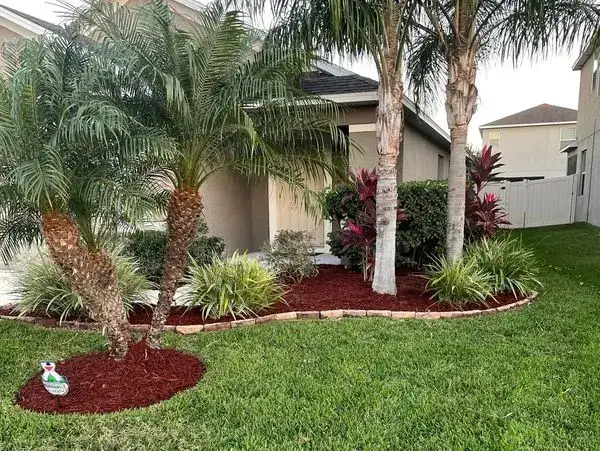 Tropical Touch Landscapes