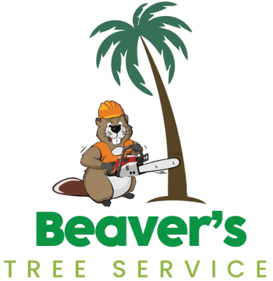 Beavers Tree Services of Tampa Bay logo
