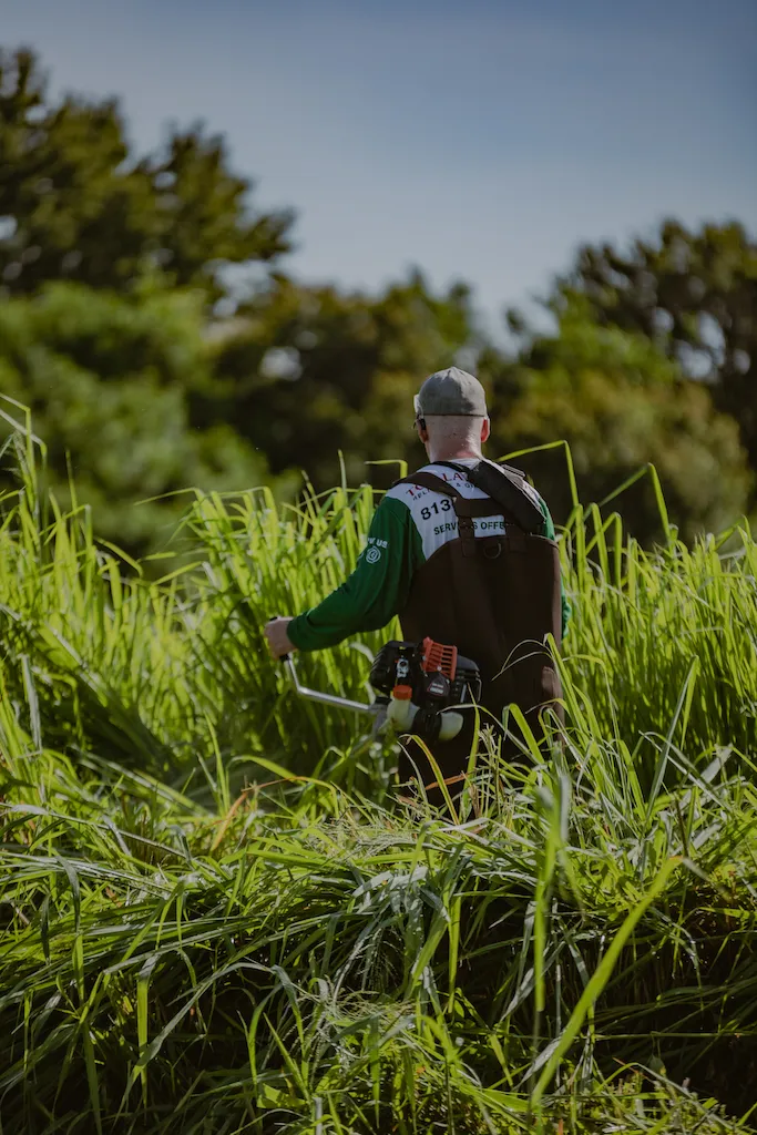 Top Lawn Pros