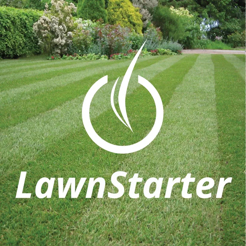 LawnStarter