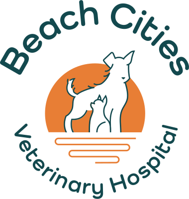 Beach Cities Veterinary Hospital logo