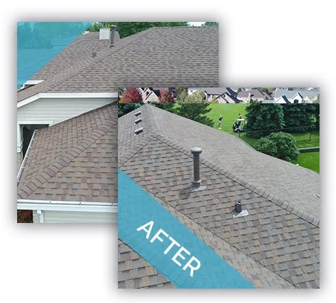 Proliance General Contractors & Roofing