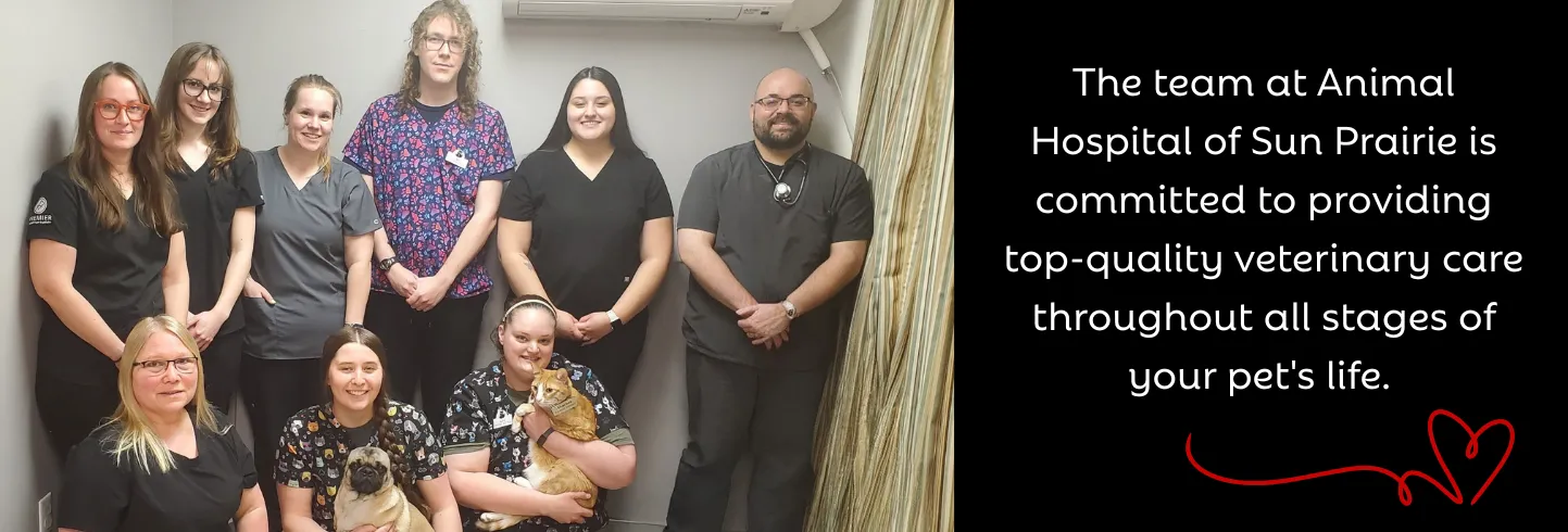 Animal Hospital of Sun Prairie
