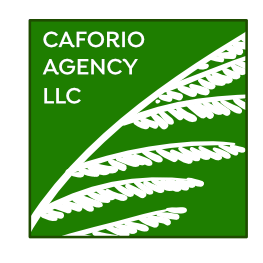 Insurance Agent logo