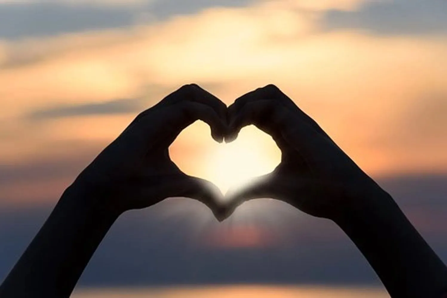 Oakbridge Chiropractic