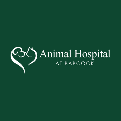 Animal Hospital at Babcock logo