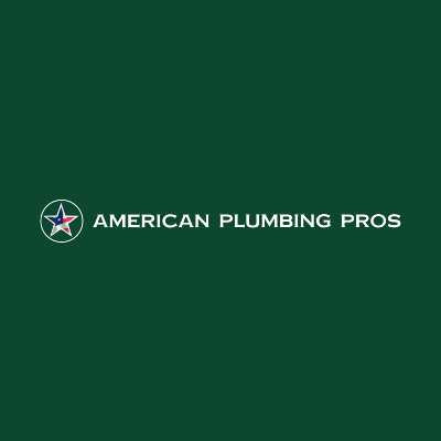 American Plumbing Pros logo