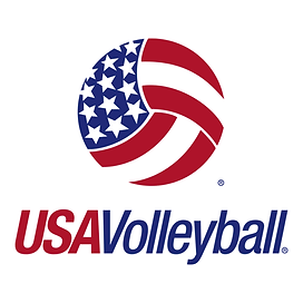 Texas Flames Volleyball logo