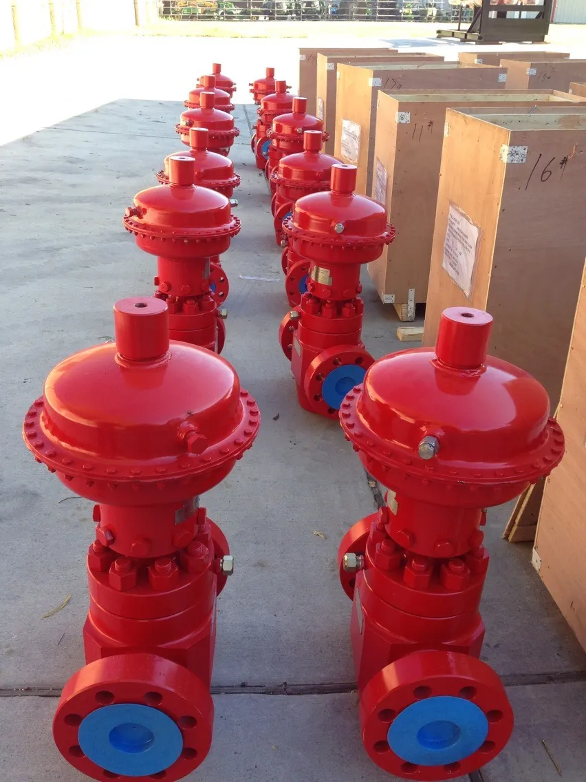 PangTong Wellhead USA