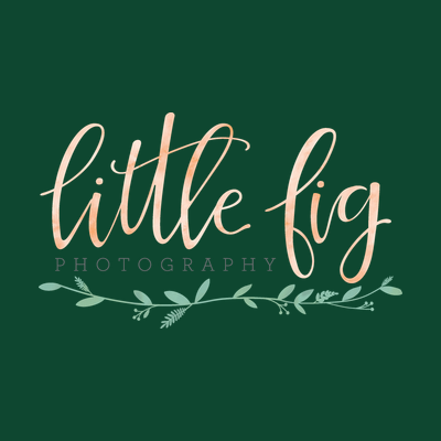 Little Fig Photography logo