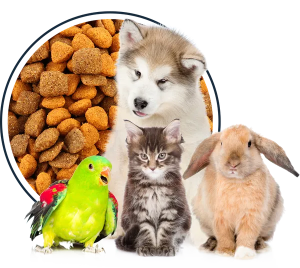 Big Tex Feed Hardware & Pet Supply