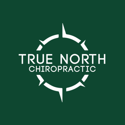 True North Chiropractic logo