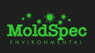 MoldSpec Environmental logo