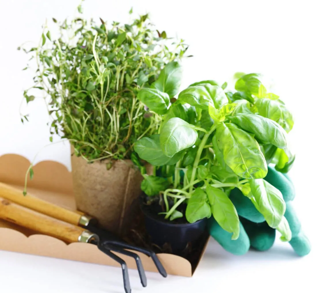 Greenandstonesolutions.Com