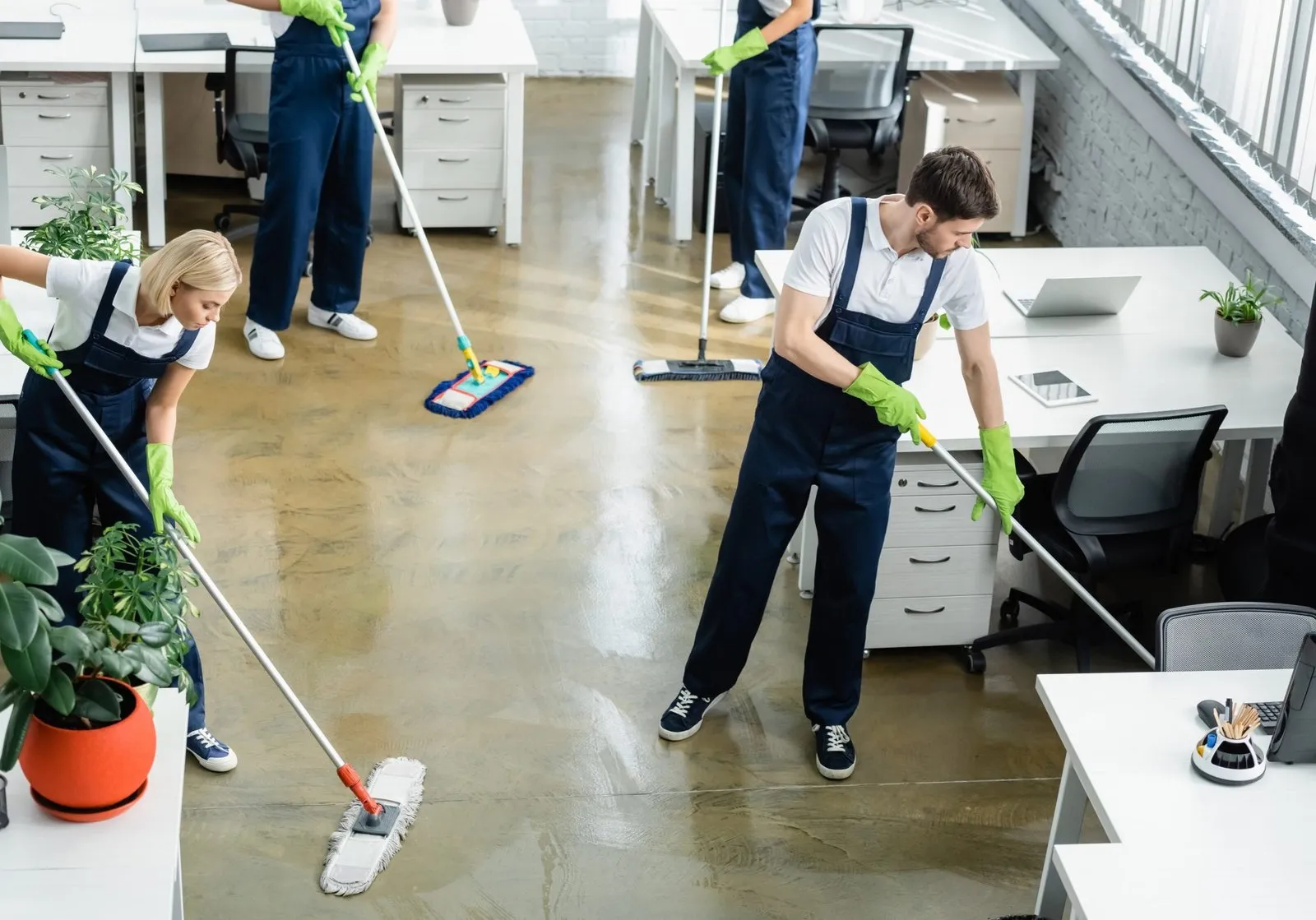 Canary Clean LLC