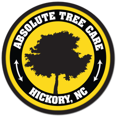 Tree Care Needs Met logo