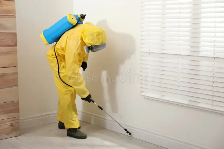Mice And Rat Control