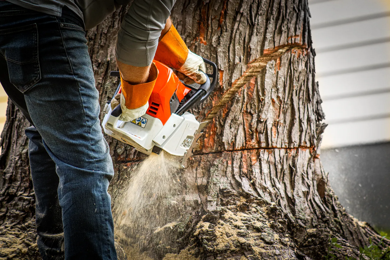 Top & Drop Complete Tree Service