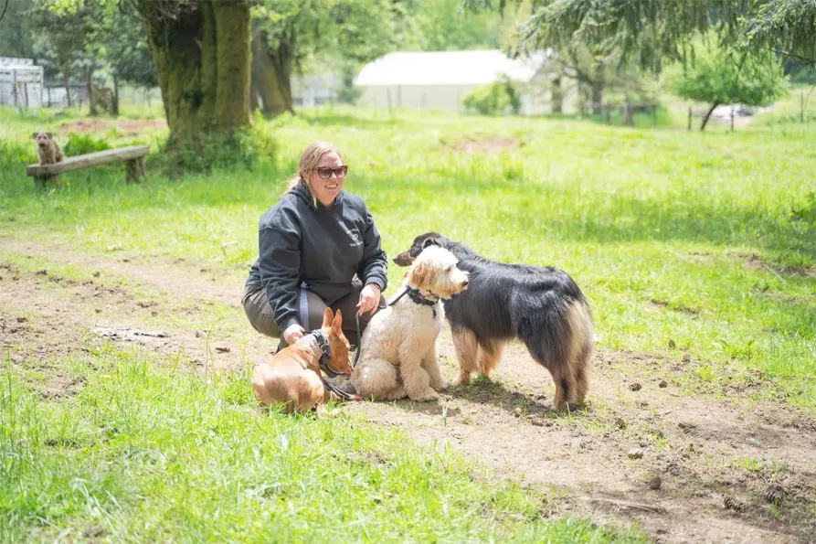Marvin Pierce Dog Teacher LLC
