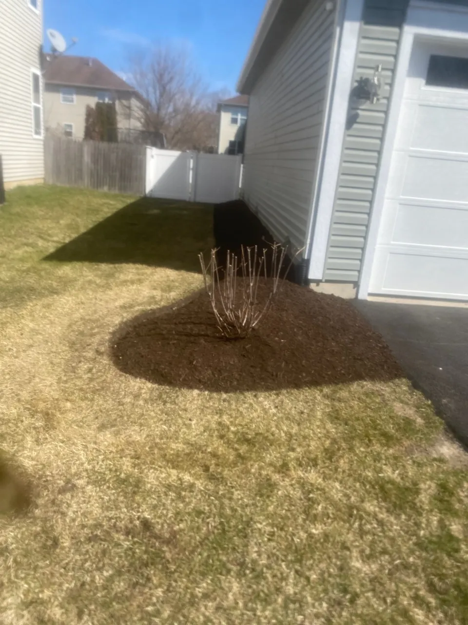Zuniga Landscaping