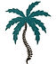 First Choice Chiropractic logo
