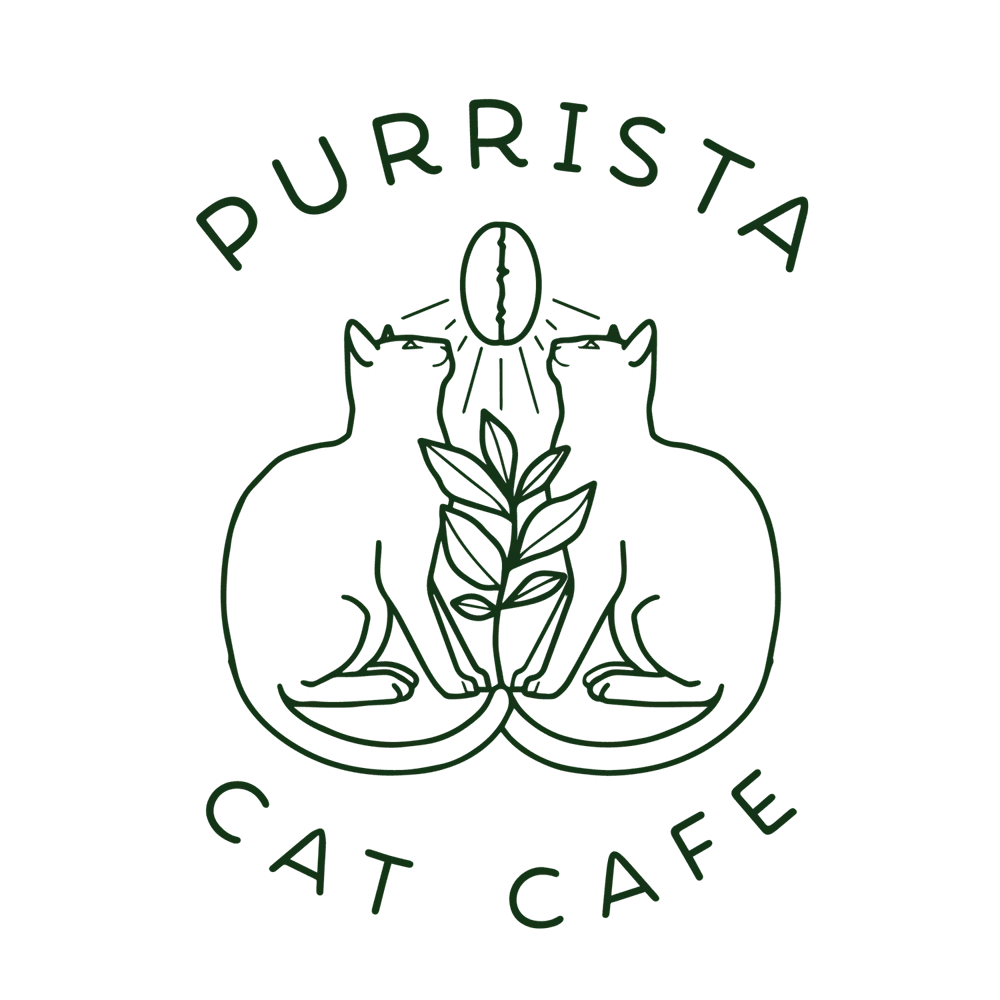 Purrista Cat Café