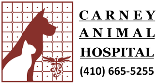 Carney Animal Hospital logo