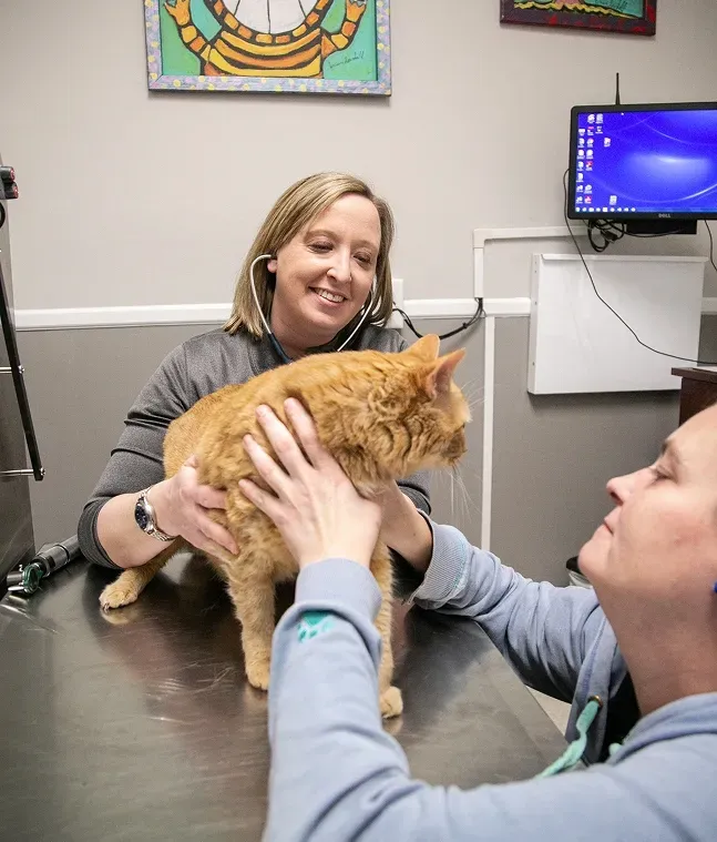 Parkville Animal Hospital