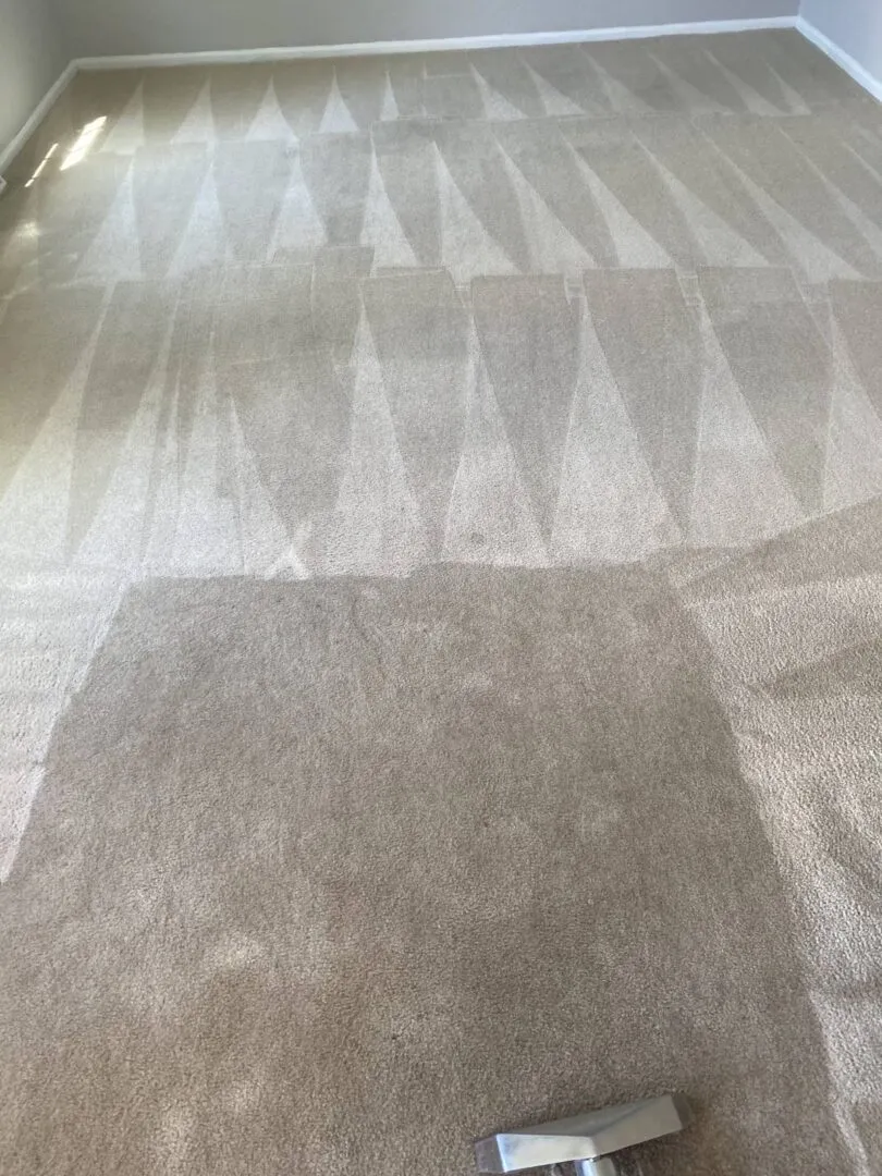Rasing Carpet & Air Duct Cleaning