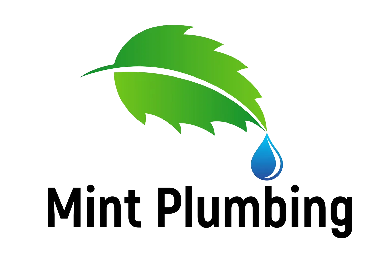 Mint Plumbing LLC