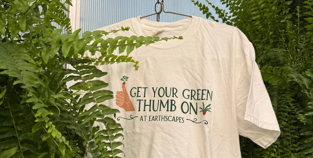 Earthscapes