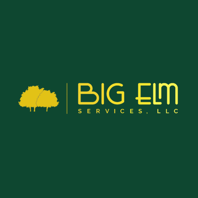Big Elm Services logo