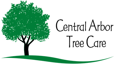 Central Arbor Tree Care logo