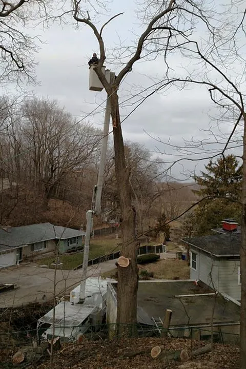 Hymbaugh's Tree Service