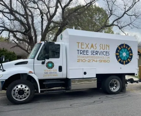 Texas Sun Tree Services