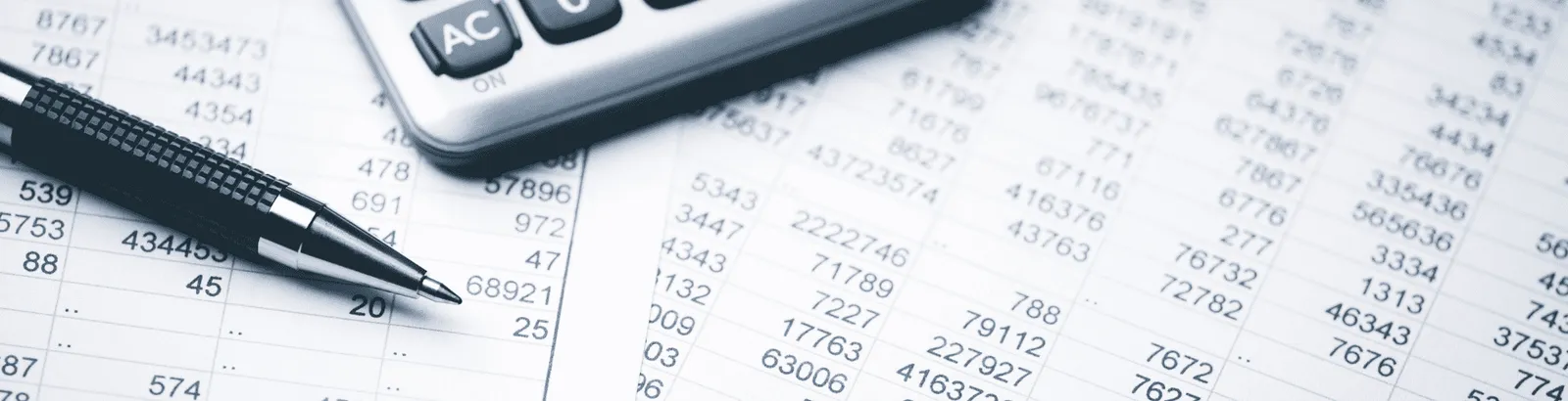 Carl Muniz, CPA