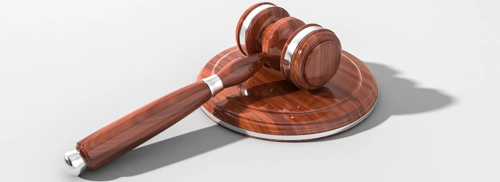 Elms Law