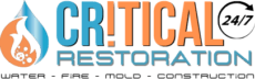 Critical Restoration of Denver logo