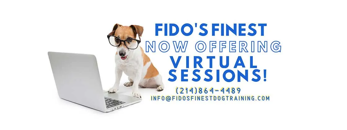 Fido's Finest Dog Training