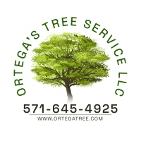 Ortega Tree Services logo