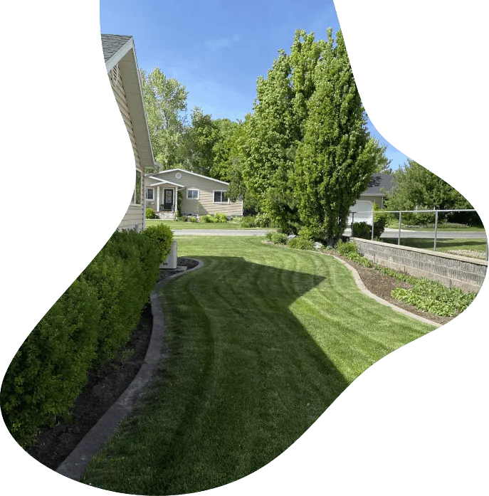 American Curb