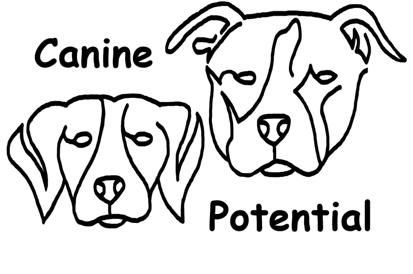 Canine Potential NJ