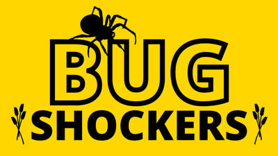 Bug Shockers Pest Control logo