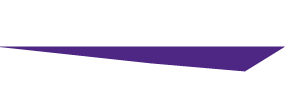 Wildcat Companies logo