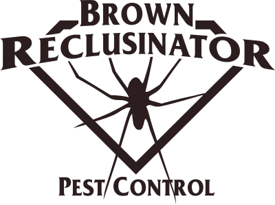 Brown Reclusinator logo