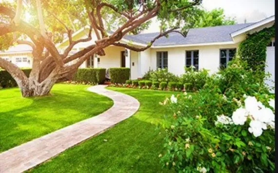 Peter Doran Lawn & Landscaping